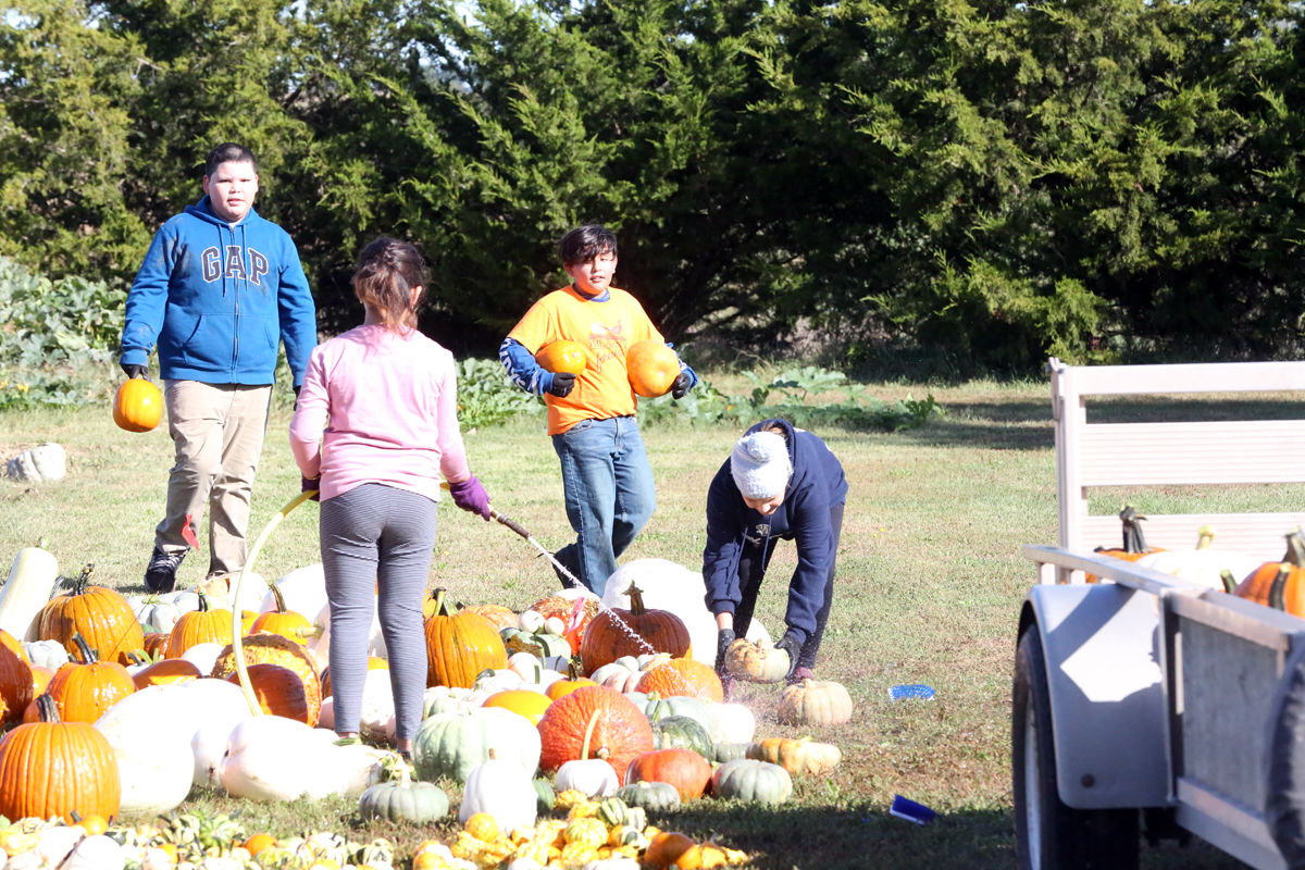 St Joseph Pumpkin Patch (17).jpg